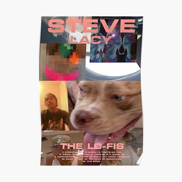 The Lo-Fis - Steve Lacy Album Poster RB2510 product Offical steve lacy Merch