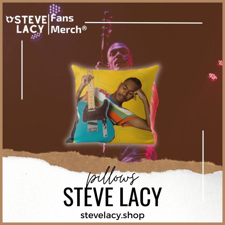 Steve Lacy Pillows